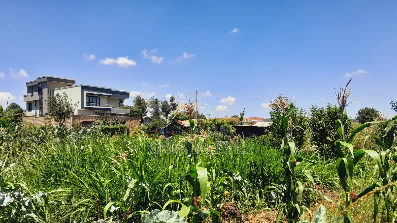 Kikuyu Prime Plot for Sale(Migumoini) in Kikuyu