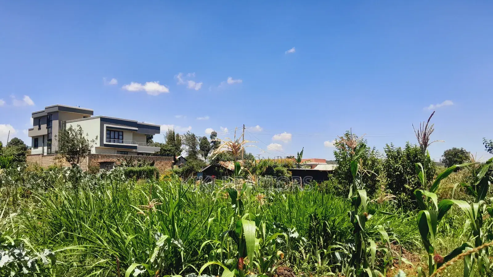 Kikuyu Prime Plot for Sale(Migumoini) in Kikuyu