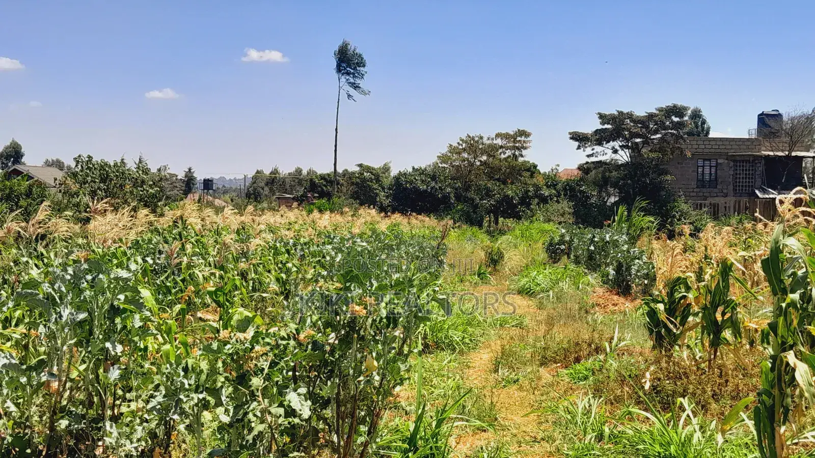 Kikuyu Prime Plot for Sale(Migumoini) in Kikuyu
