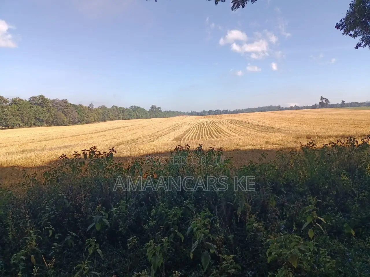 1,511 Acres Land For Sale In Bahati Nakuru in Bahati