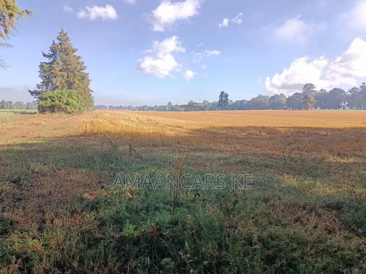 1,511 Acres Land For Sale In Bahati Nakuru in Bahati