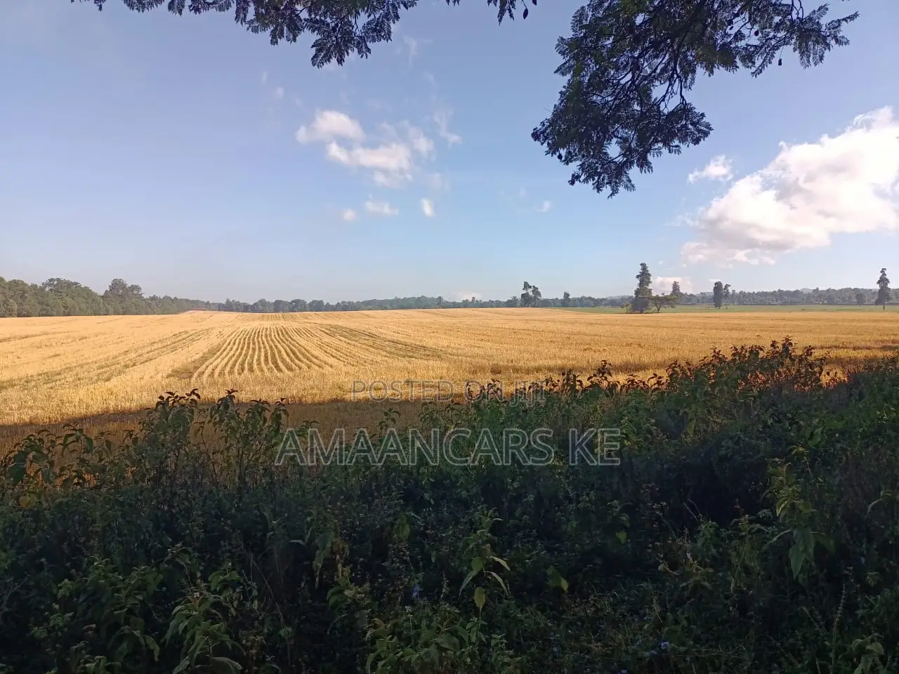 1,511 Acres Land For Sale In Bahati Nakuru in Bahati