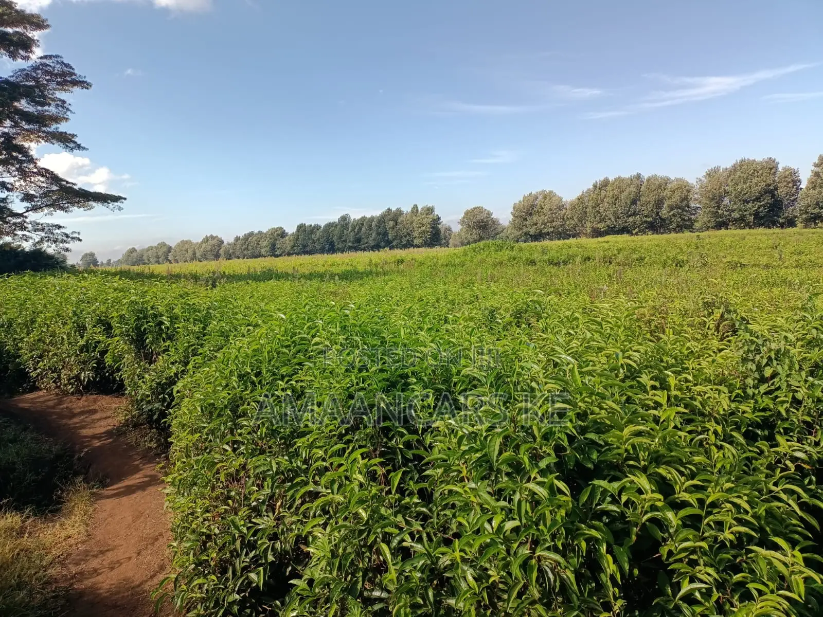 1,511 Acres Land For Sale In Bahati Nakuru in Bahati
