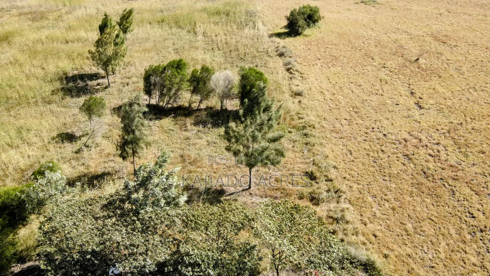 Prime 10-acre plot in Birika: 3.5 million per acre for sale in Isinya