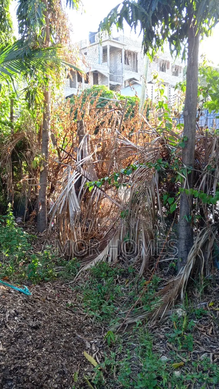 Plot for Sale at Mwandoni-Bilima in Mshomoroni