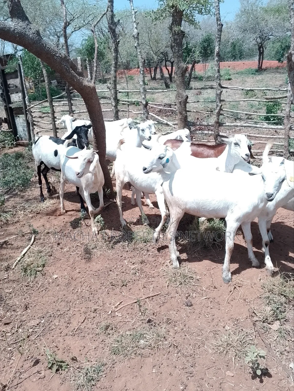 Kilibasi 25km Off Mombasa Road in Machakos Town