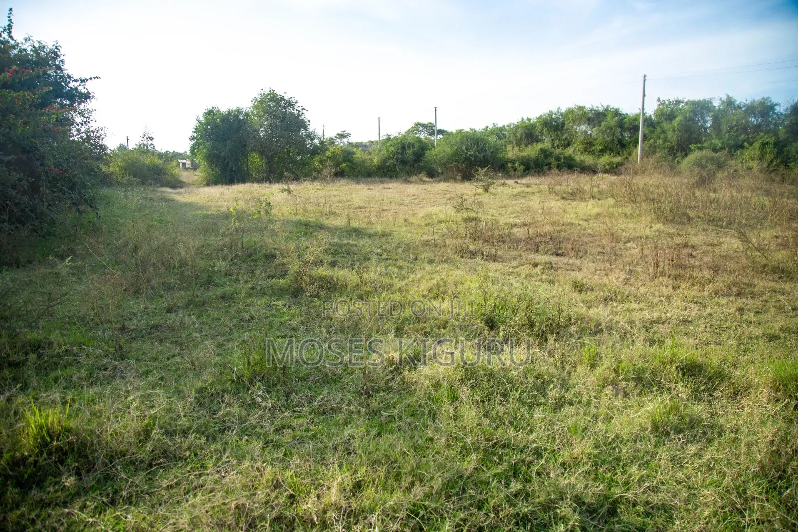 Thika, Munyu 50x100 Plots. in Gatuanyaga