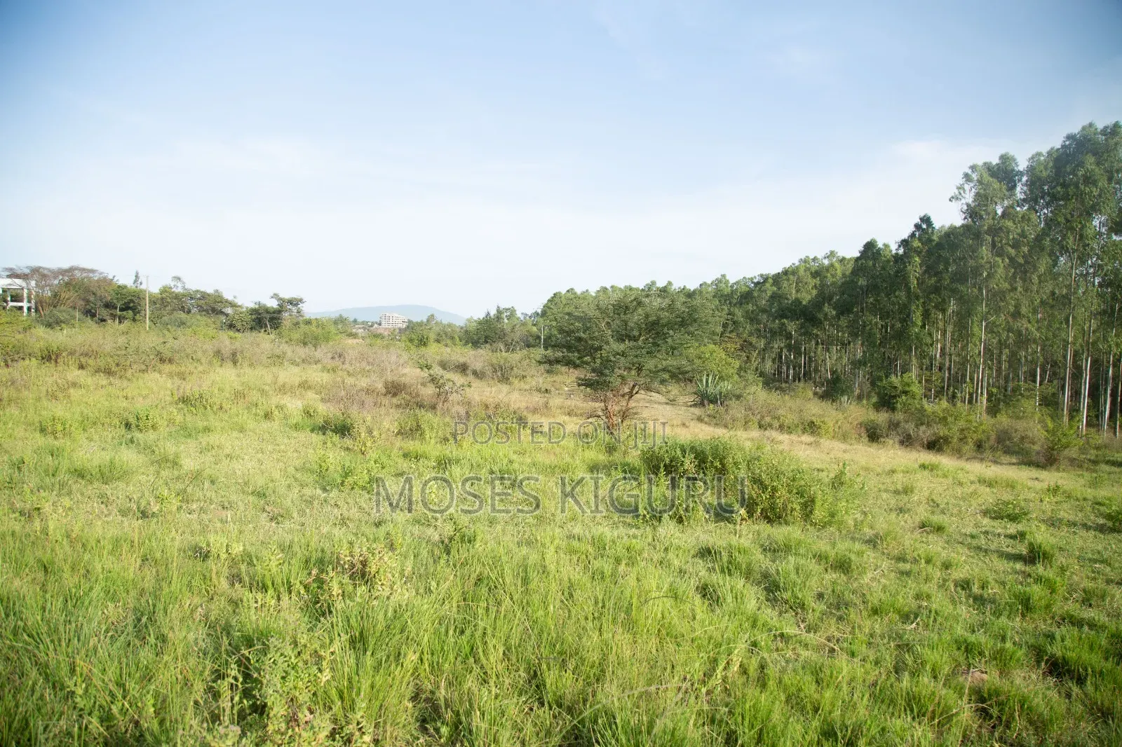 Thika, Munyu 50x100 Plots. in Gatuanyaga