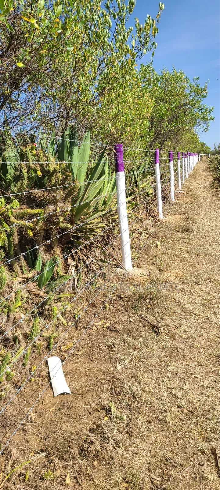 50 by 100 Plots ,Longonot View Phase 4, for Sale in Mirera