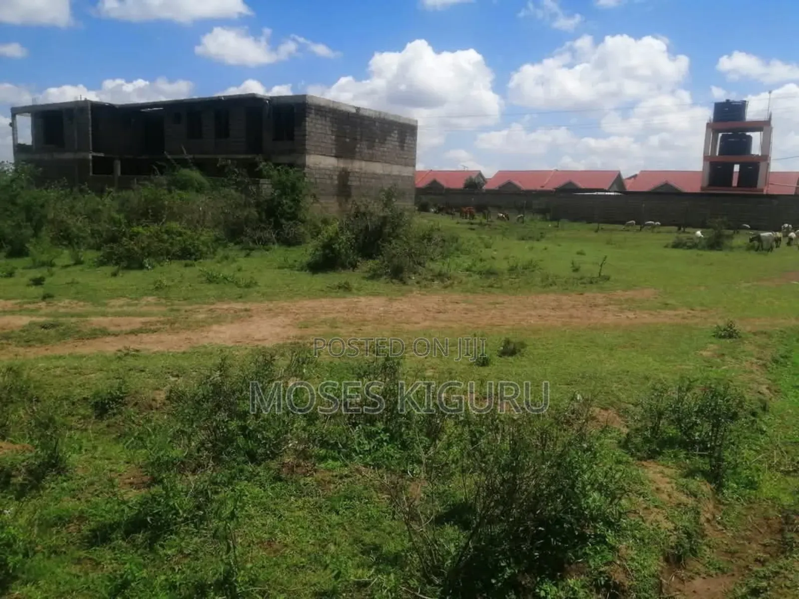 Juja 40x80 Commercial Plot. in Kalimoni