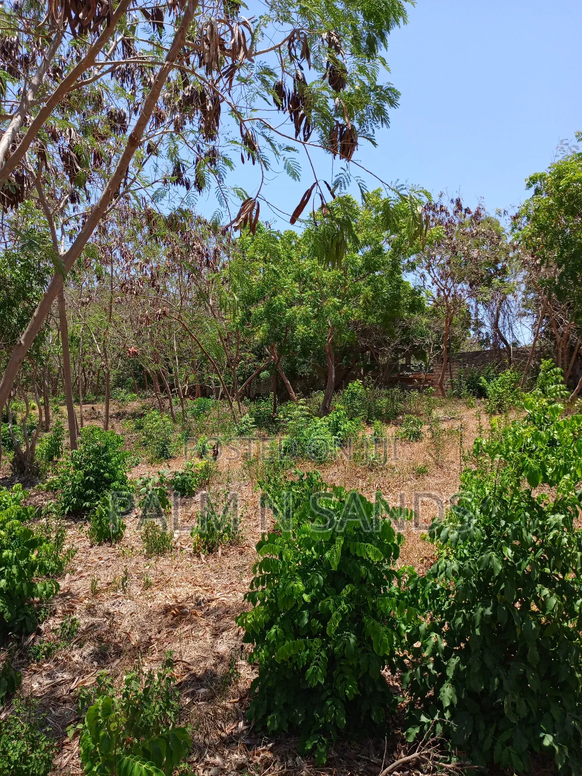 Second Row 3/4 Acre Plot on Sale in Galu Diani in Diani