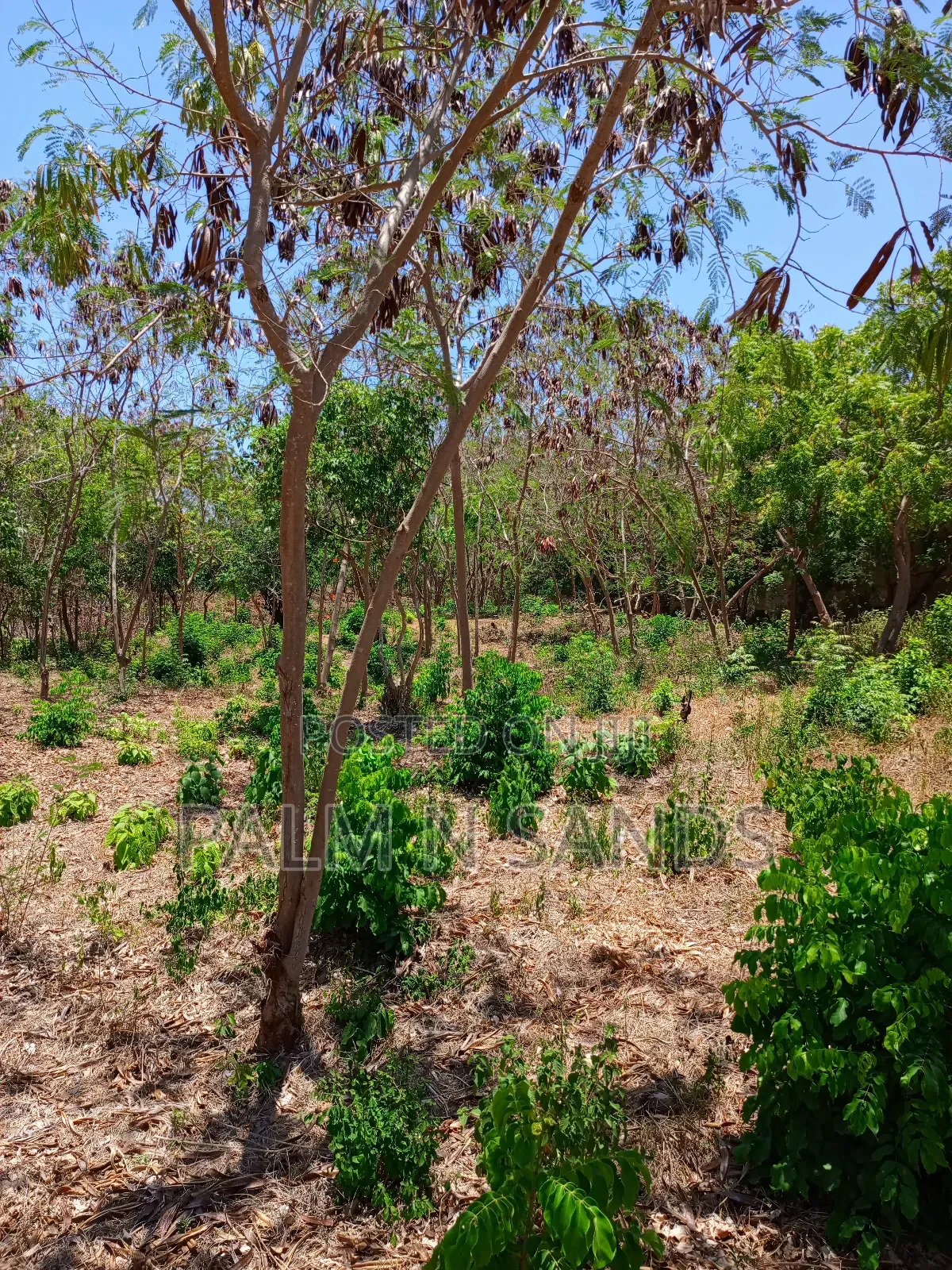 Second Row 3/4 Acre Plot on Sale in Galu Diani in Diani