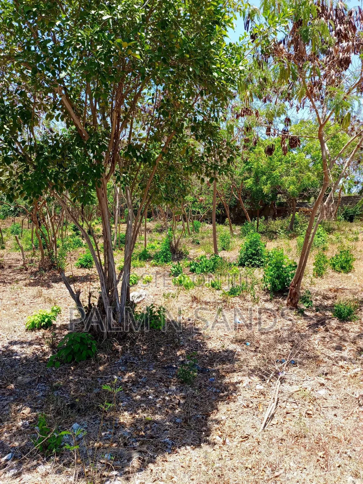 Second Row 3/4 Acre Plot on Sale in Galu Diani in Diani