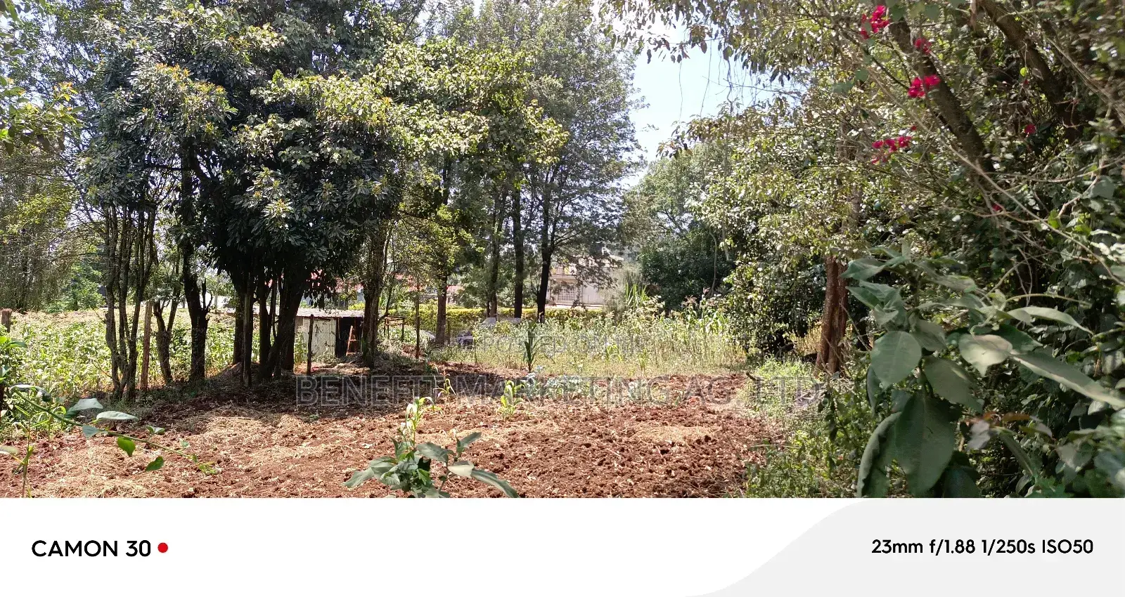 Quarter Acre Plot for Sale in Ngong Lemiso Road. in Ngong