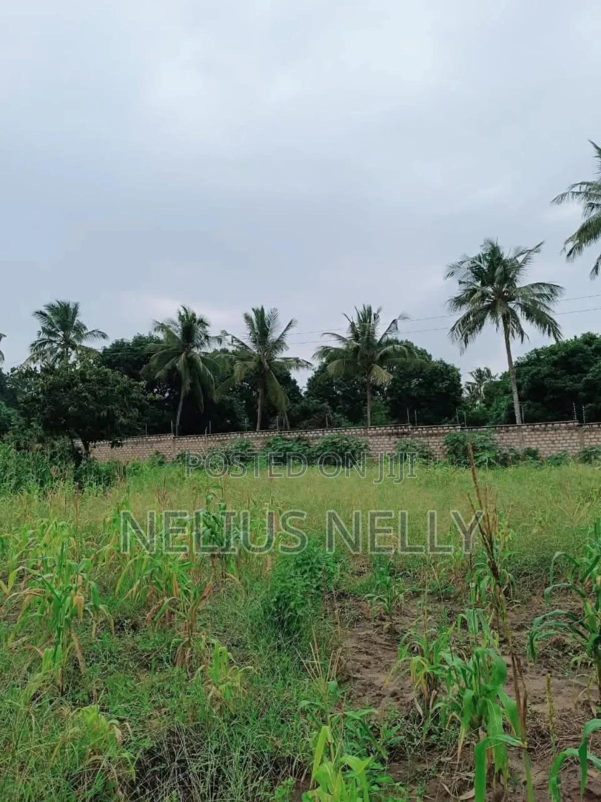 Kikambala Plots for Sale in Kikambala