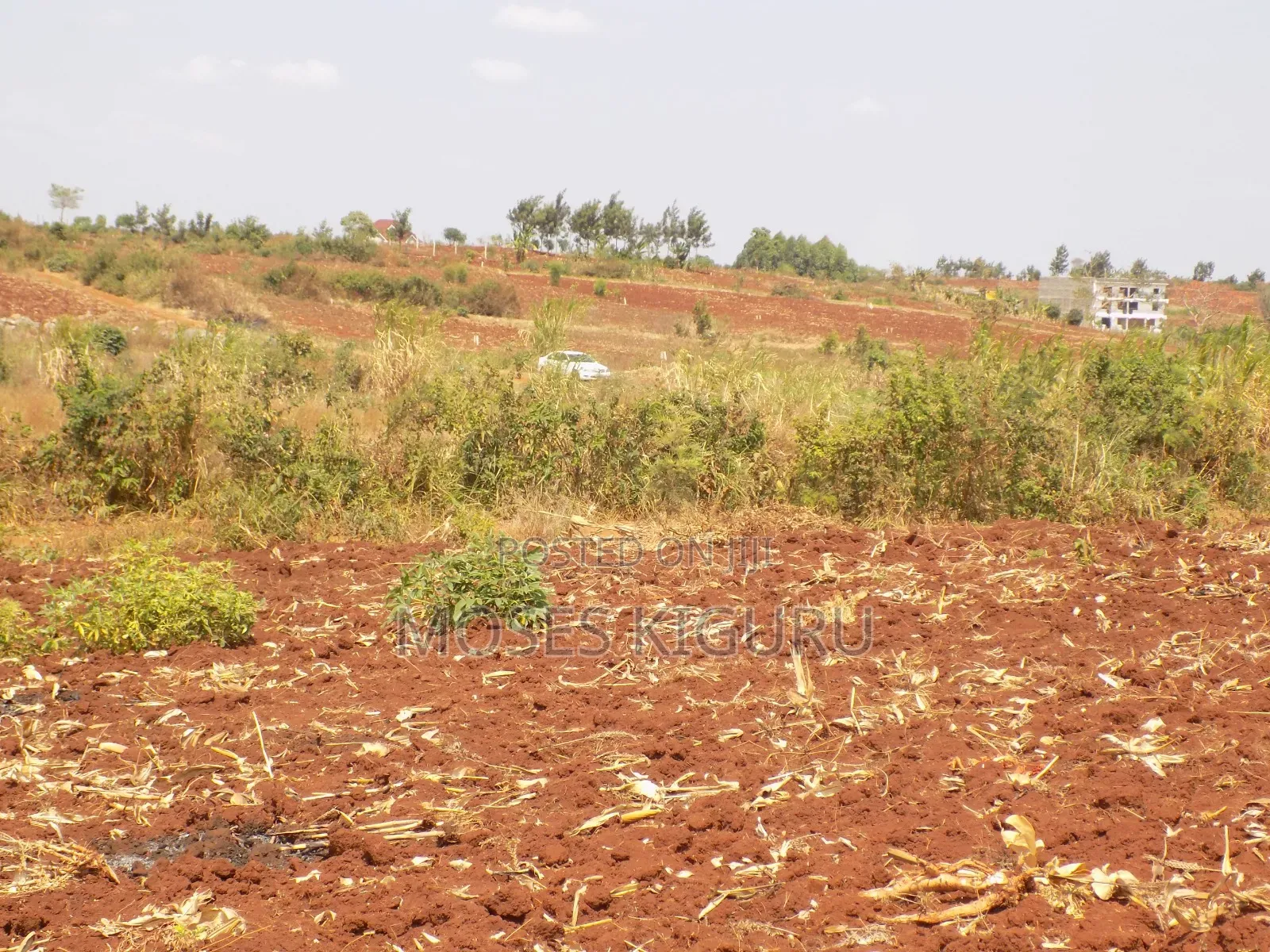 Kangema Farms 50x100 Plots. in Gatanga