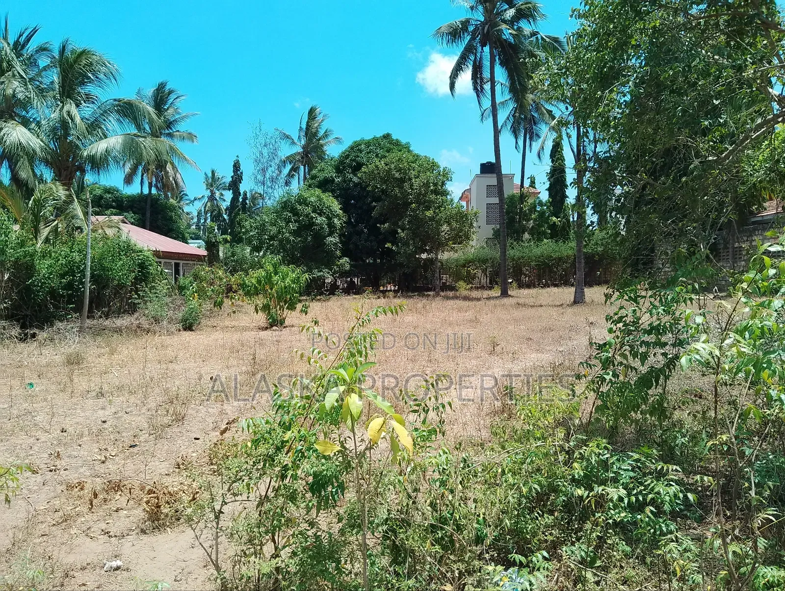 Quarter Acre Plot for Sale in Majaoni in Utange