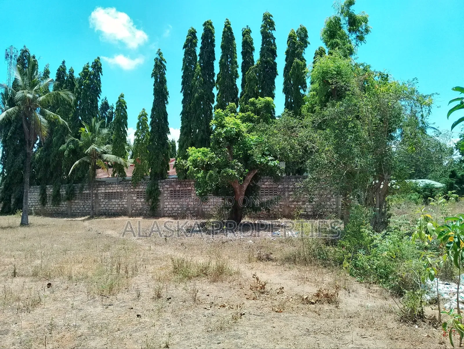 Quarter Acre Plot for Sale in Majaoni in Utange
