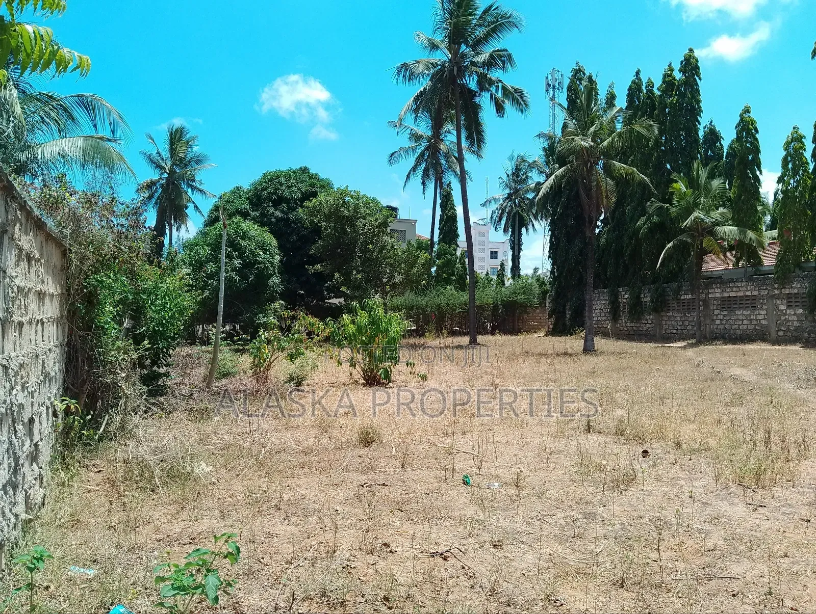 Quarter Acre Plot for Sale in Majaoni in Utange
