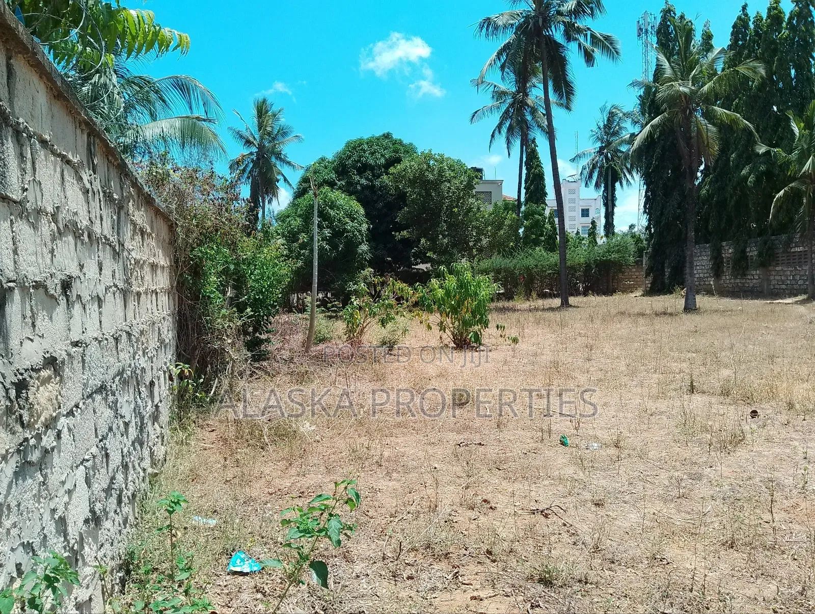 Quarter Acre Plot for Sale in Majaoni in Utange