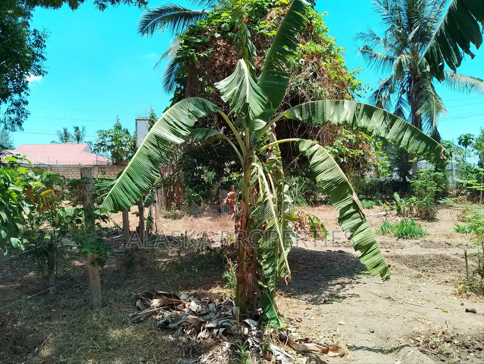 50by100 Prime Plot for Sale in Majaoni in Utange
