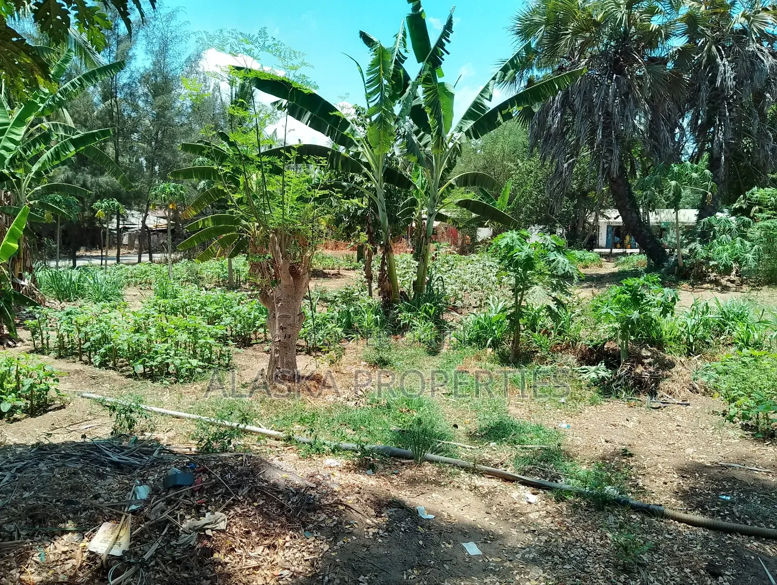 50by100 Prime Plot for Sale in Majaoni in Utange