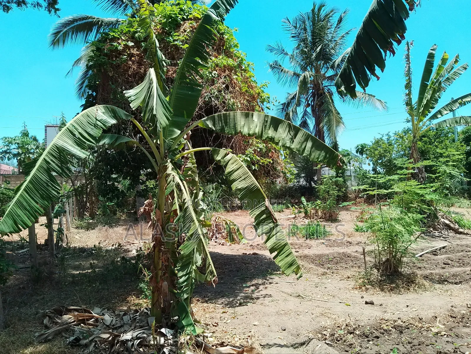 50by100 Prime Plot for Sale in Majaoni in Utange