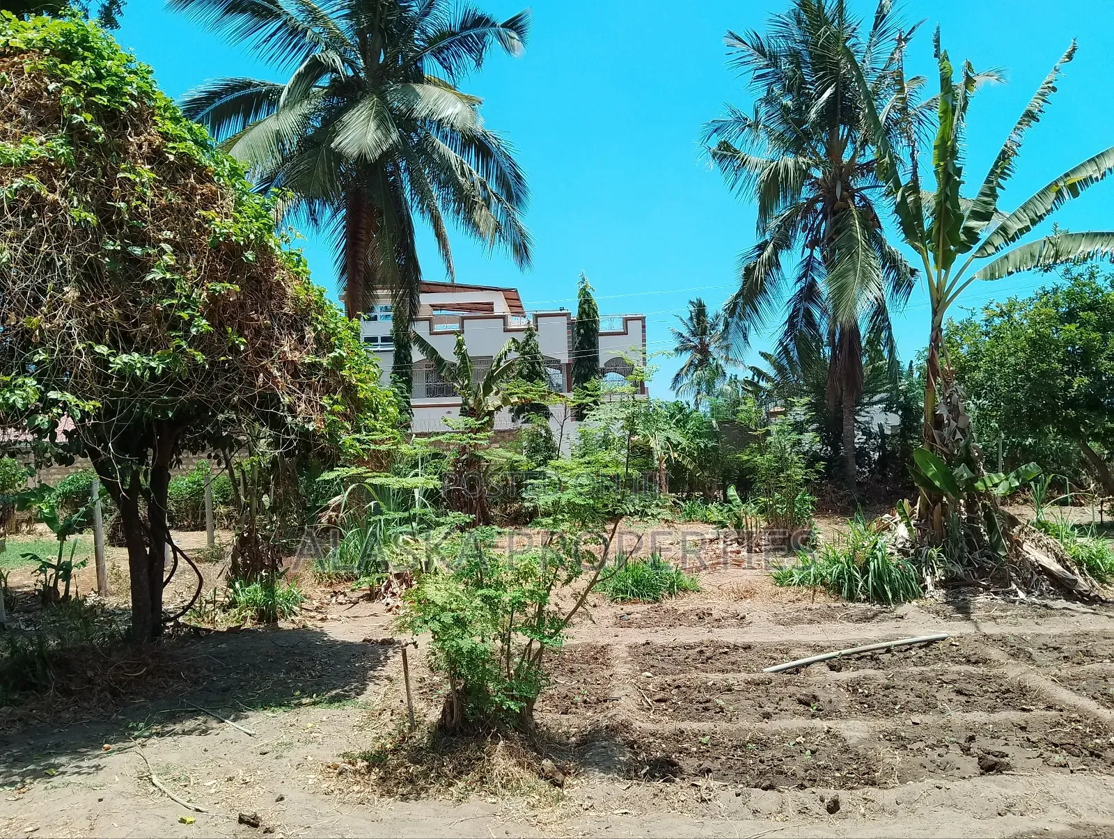 50by100 Prime Plot for Sale in Majaoni in Utange