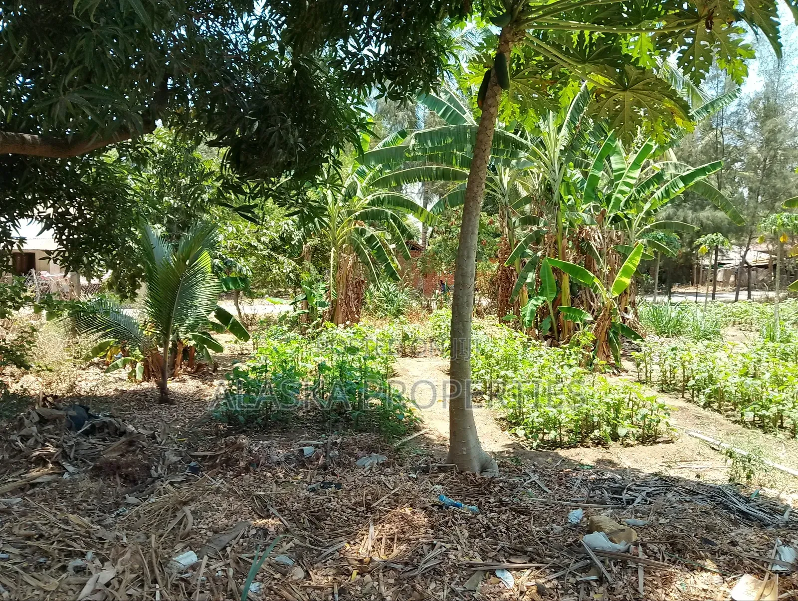 50by100 Prime Plot for Sale in Majaoni in Utange