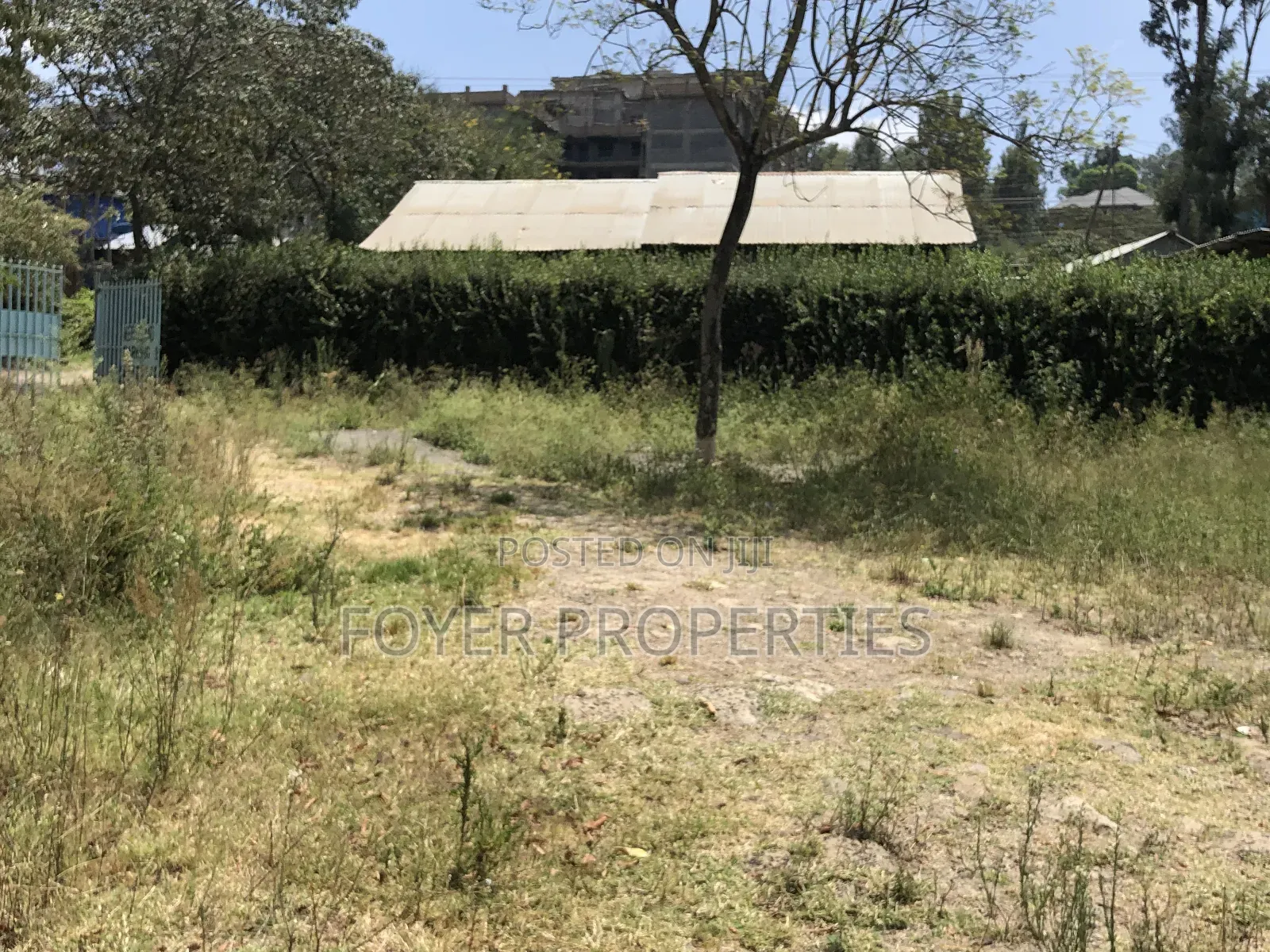 Prime Plot in Kiserian in Kiserian