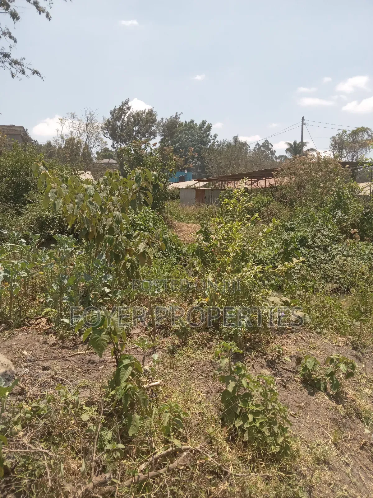 Prime Plot in Kiserian in Kiserian