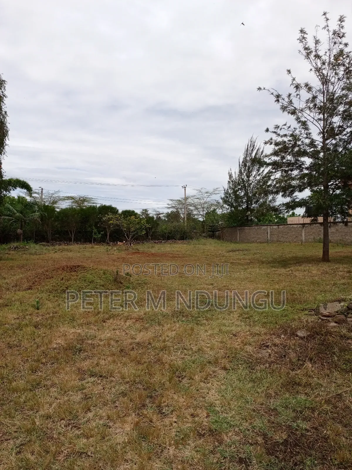 Prime Residential Plot 1/2 Acre Garden Estate in Nairobi Central