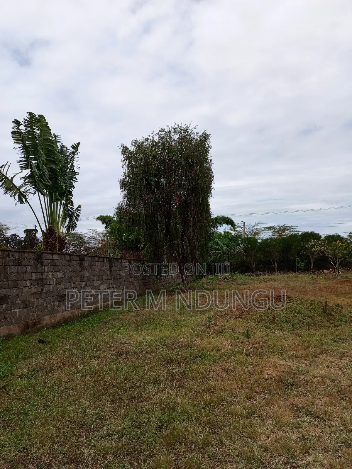 Prime Residential Plot 1/2 Acre Garden Estate in Nairobi Central