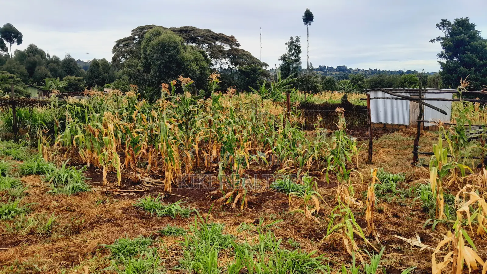 Kikuyu Kerwa Prime and Affordable Plots in Zambezi/Sigona