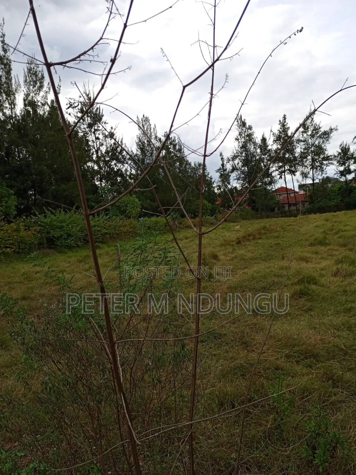 Thome 1 , 1/2 Acre Residential Plot in Thome