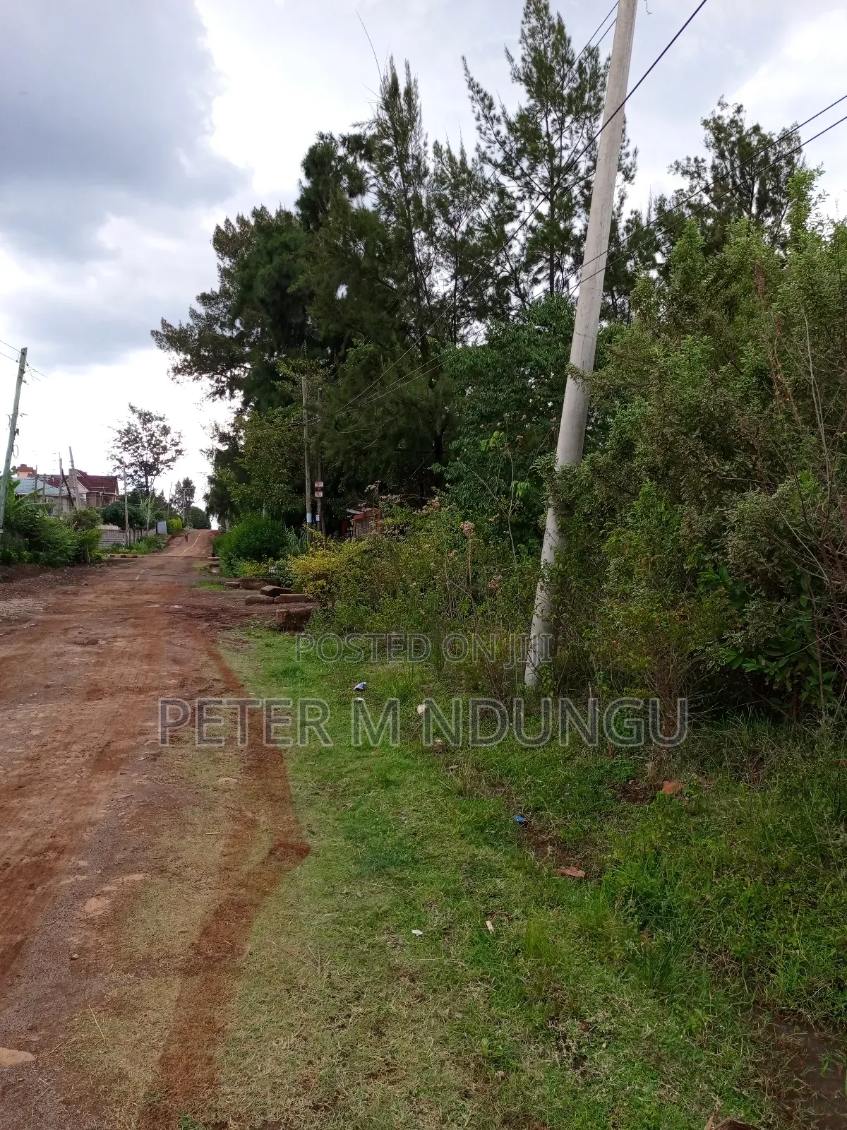 Thome 1 , 1/2 Acre Residential Plot in Thome