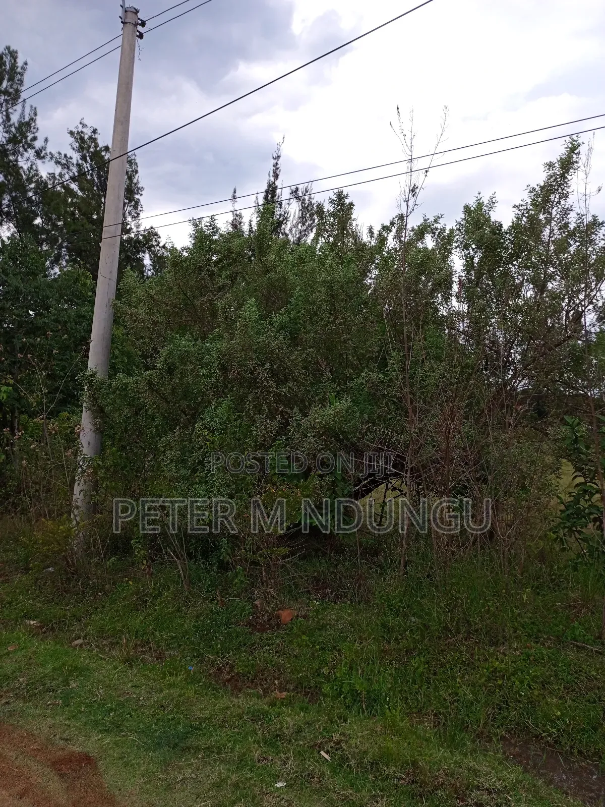 Thome 1 , 1/2 Acre Residential Plot in Thome