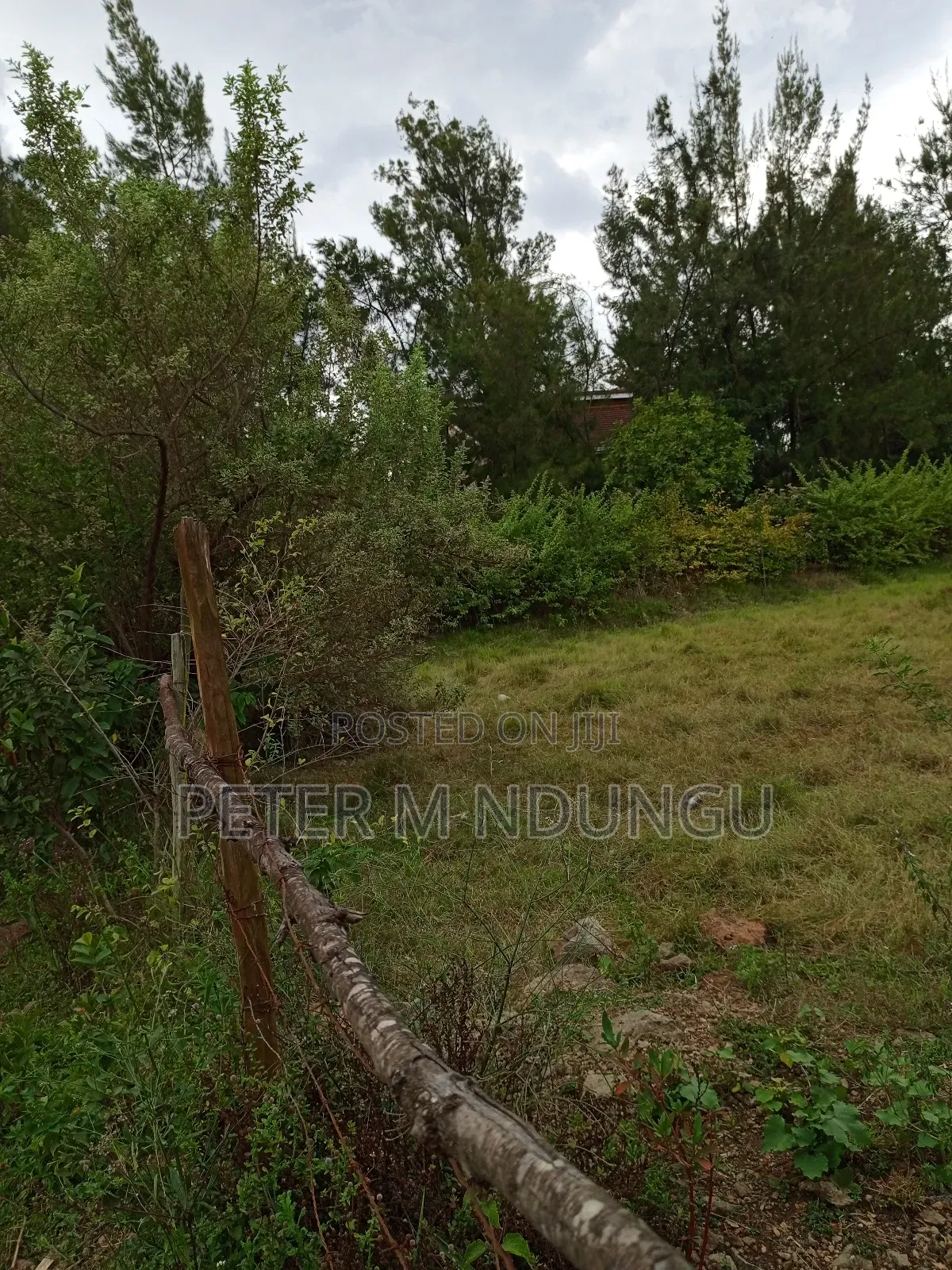 Thome 1 , 1/2 Acre Residential Plot in Thome