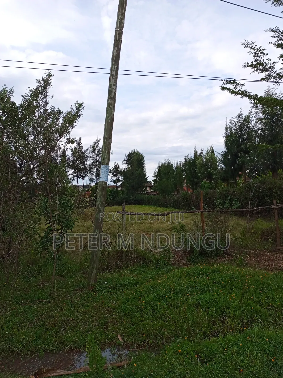 Thome 1 , 1/2 Acre Residential Plot in Thome