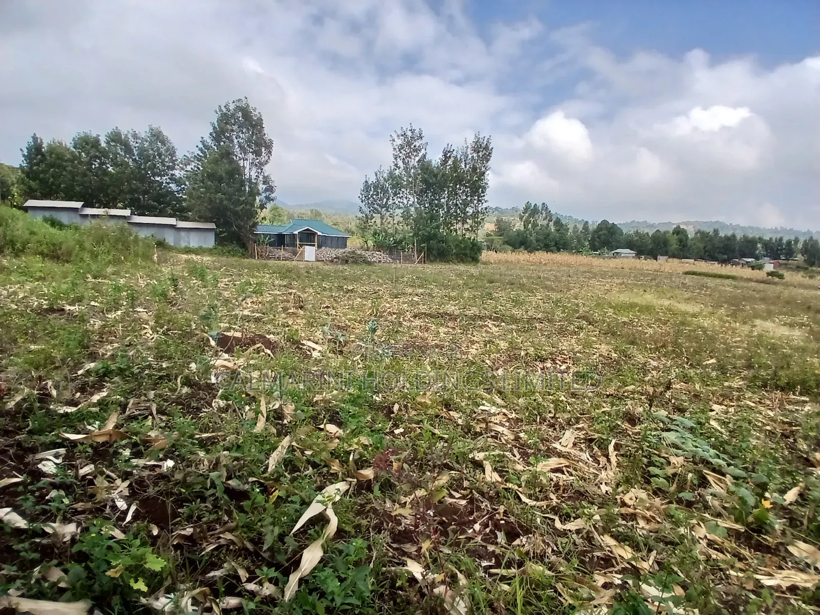 Selling Prime 1 Acre of Land in Upper Matasia in Matasia