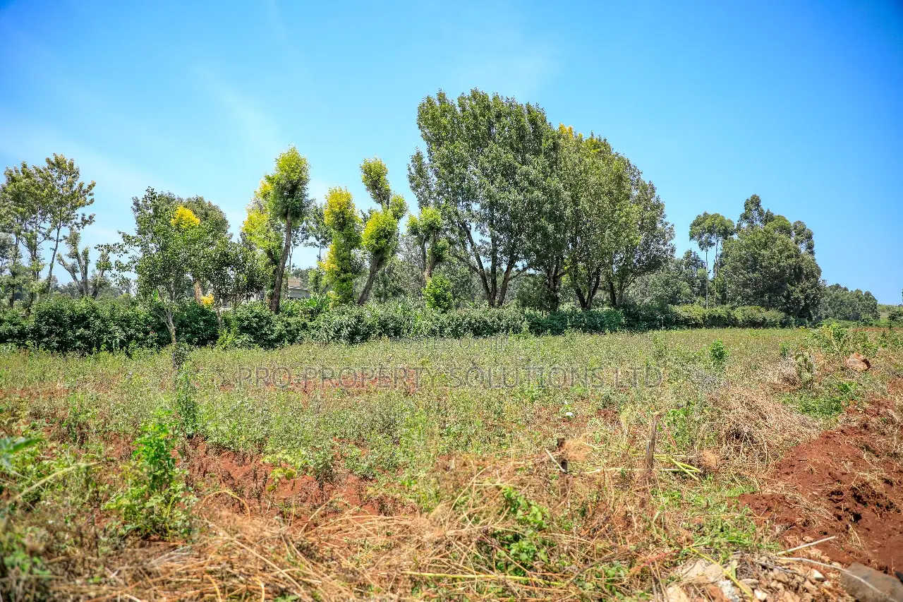 Residential Serviced Plots in Kikuyu, Ondiri in Kikuyu