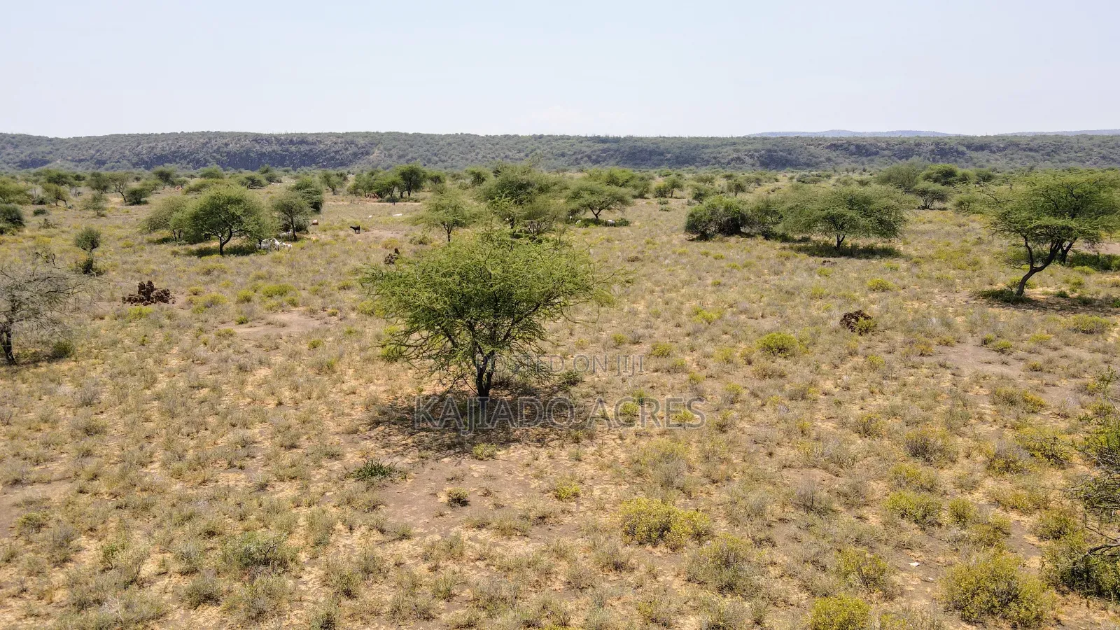 Prime 5 Acres Tinga at Per Acre in Kiserian