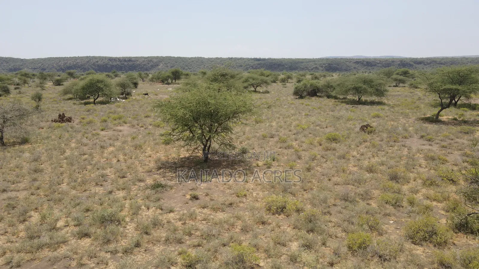 Prime 5 Acres Tinga at Per Acre in Kiserian