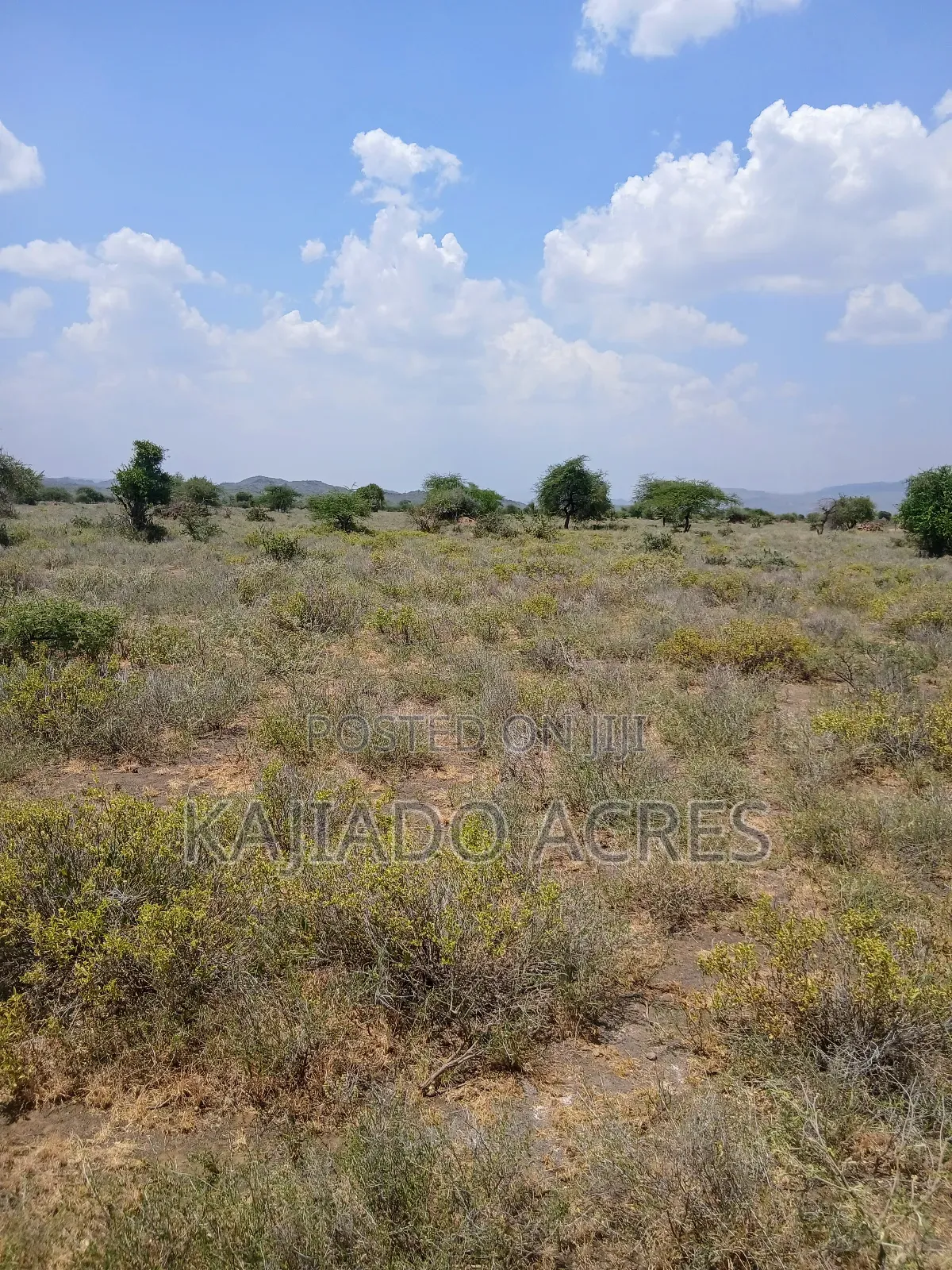 Prime 5 Acres Tinga at Per Acre in Kiserian