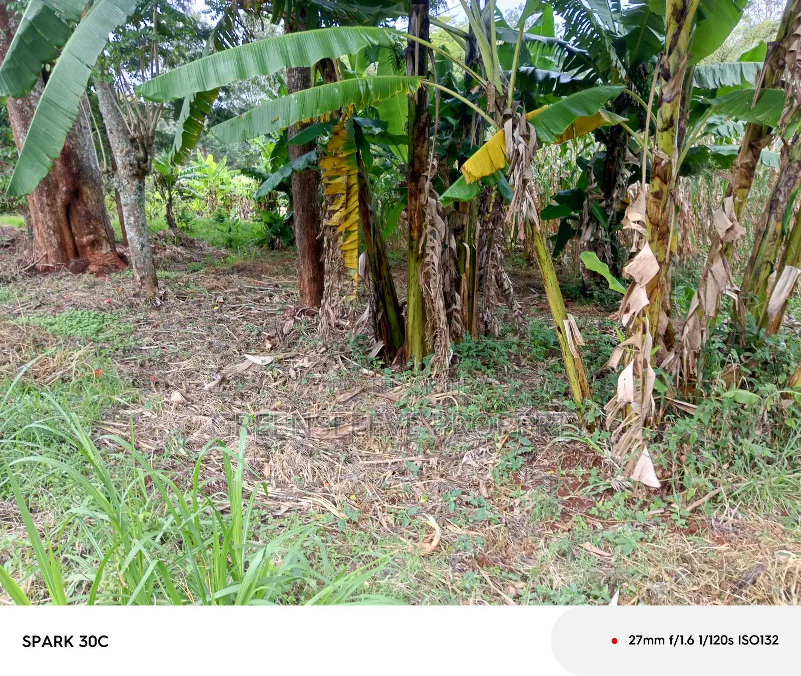 Land for Sale in Karen