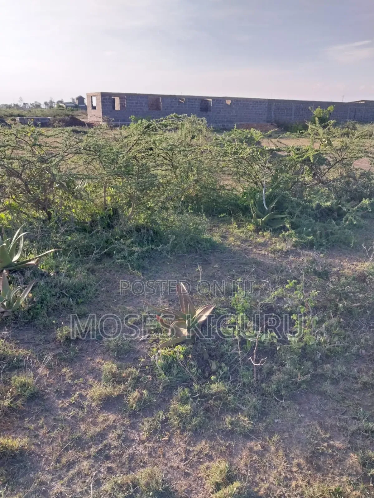 Jujafarm, Mwireri 40x80 Plot. in Juja