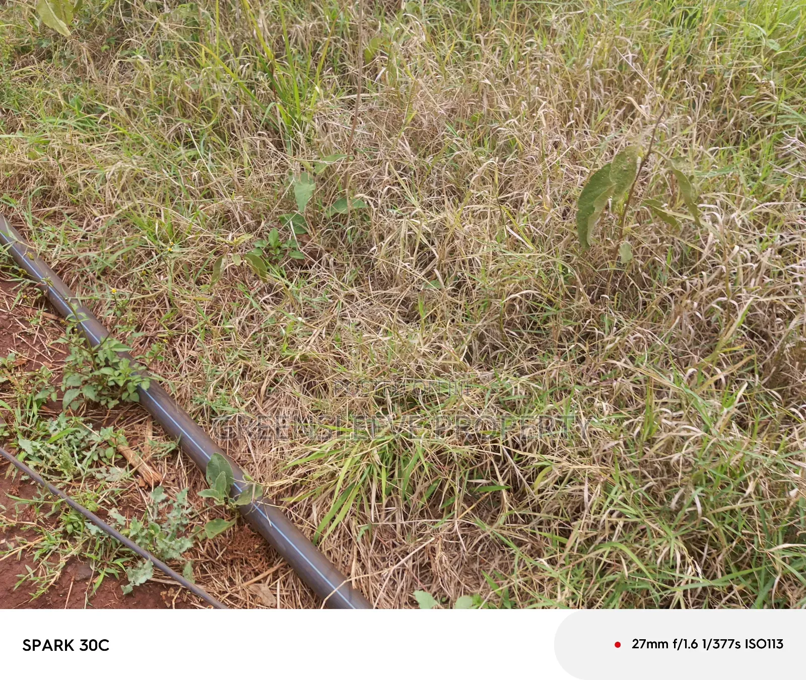 Land For Sale in Karen