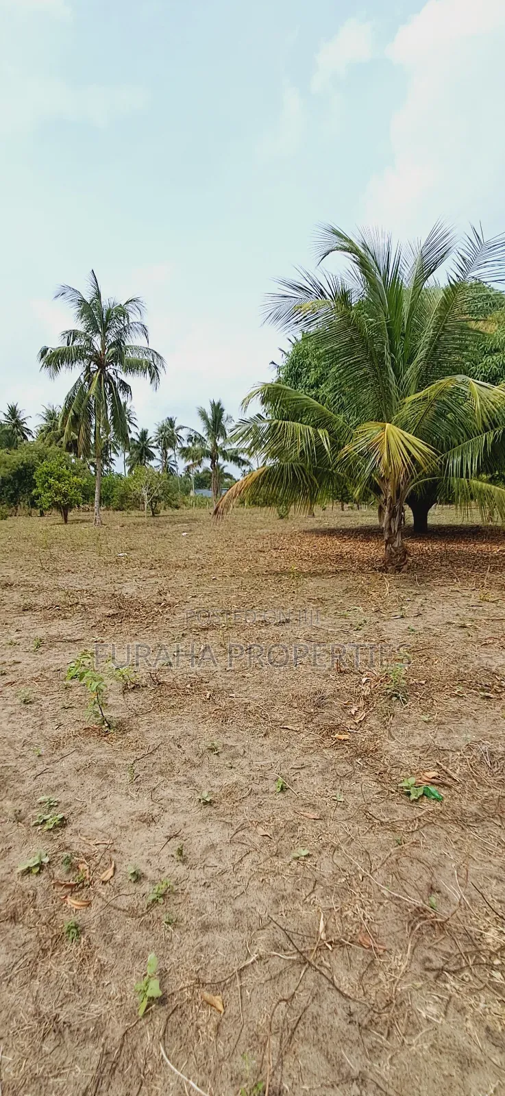 For Sale 2 Acres Land Msambweni in Diani