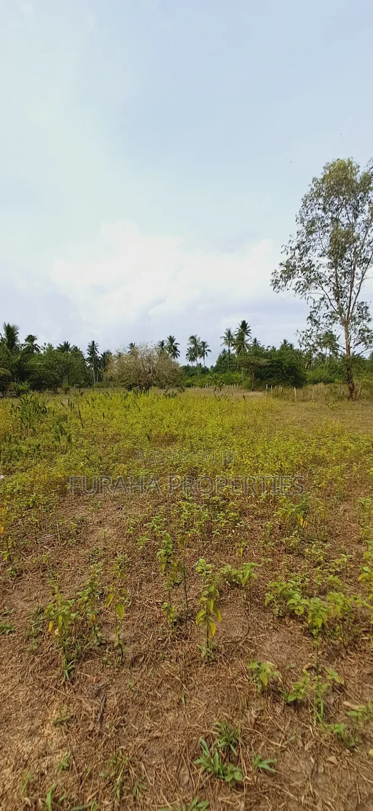 For Sale 2 Acres Land Msambweni in Diani