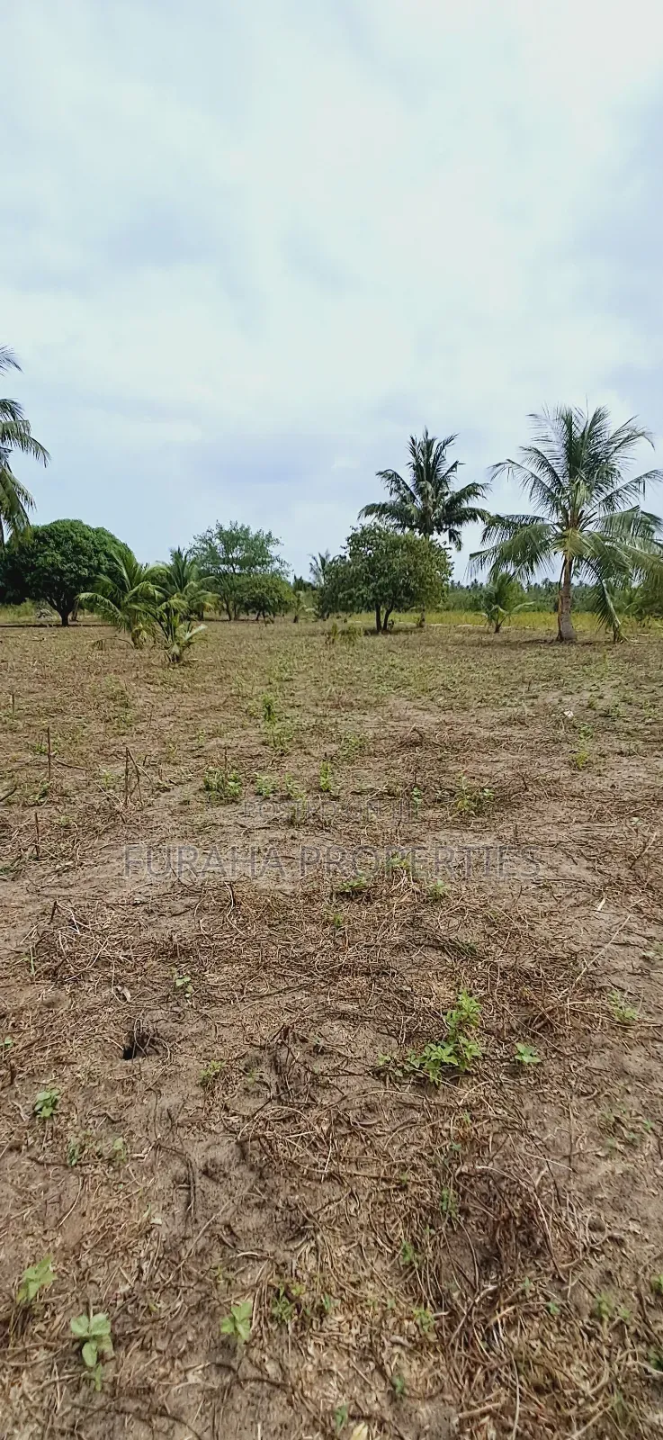 For Sale 2 Acres Land Msambweni in Diani